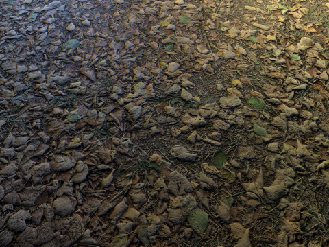 Realistic Terrain Textures CG テクスチャ