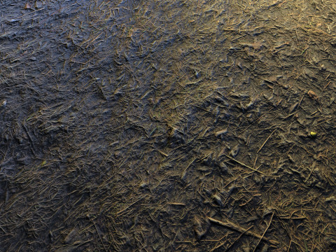 Realistic Terrain Textures CG テクスチャ