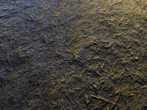 逼真的地形纹理 CG 纹理