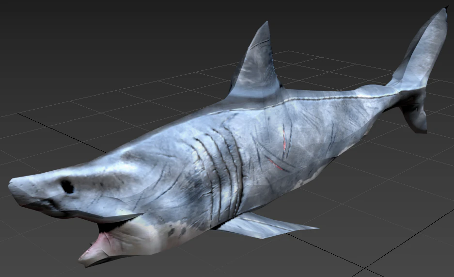 squalo Modello 3D .c4d .max .obj .3ds .fbx .stl .blend 