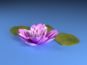 water lily 3D-Modell