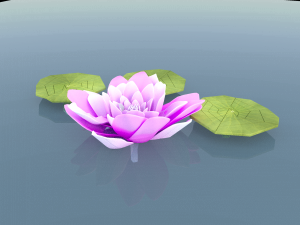 water lily 3D-Modell