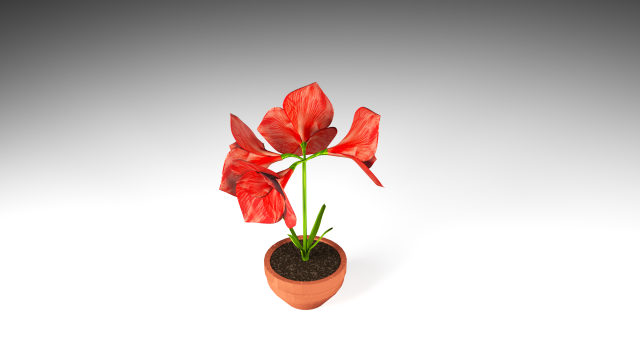 amaryllis 3D Model .c4d .max .obj .3ds .fbx .stl .blend 