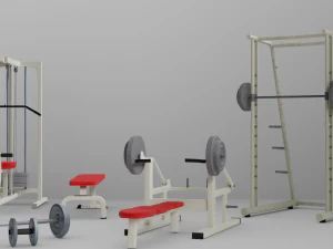 een selectie van verschillende programma's voor interieurvisualisatie interieurontwerp gymstudio 3D Model