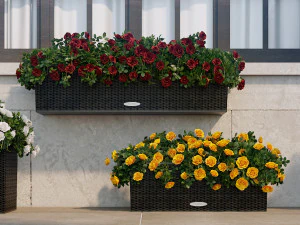 Blumendekor wecken Teil 001 3D Modell