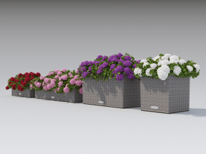 flower decor geranium part 002 Model 3D