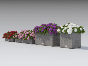 flower decor geranium part 002 3D Model