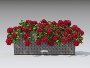 flower decor geranium part 002 Model 3D