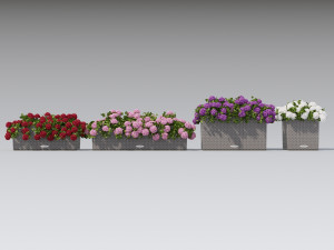 flower decor geranium part 002 Model 3D