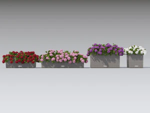 flower decor geranium part 002 3D Model