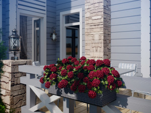 flower decor geranium part 002 3D Model