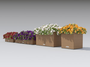 flower decor petunia part 003 3D 모델