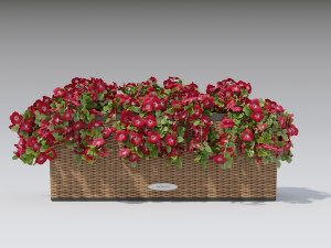 flower decor petunia part 003 3D 모델