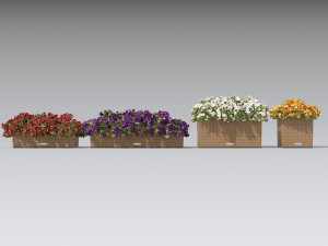 flower decor petunia part 003 3D 모델