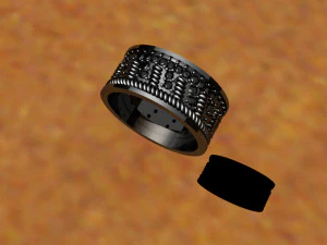 black ring 3D Model