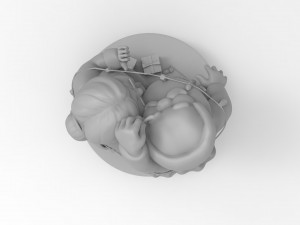 grandparents Modèles 3D en vedette