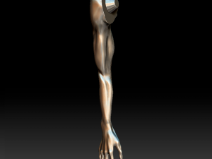 monster 3D 打印模型