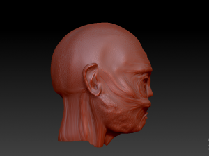 head Modello 3D