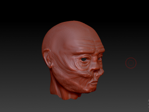 head Modello 3D