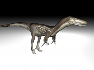 austrosaurus dinosaur 3D 모델
