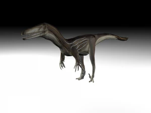 austrosaurus dinosaur 3D Model