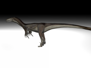 austrosaurus dinosaur Modelo 3D