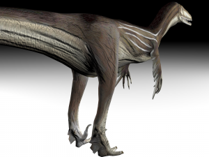 austrosaurus dinosaur Modelo 3D