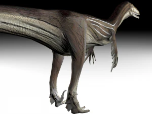 austrosaurus dinosaur 3D Model