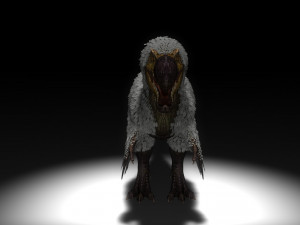 dodo 3D Model