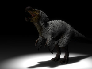 dodo 3D Model