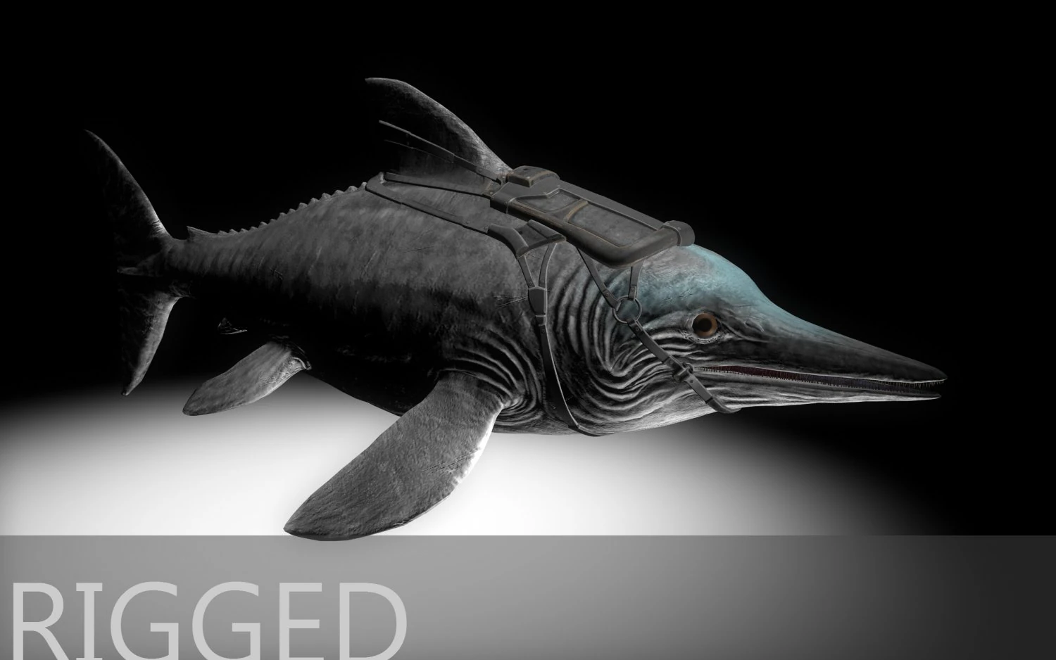 dolphin dinosaur 3D Model .c4d .max .obj .3ds .fbx .stl .blend