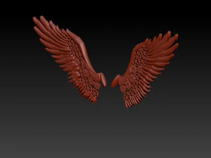 asas robiticas Modello 3D