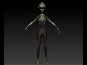 gray alien female 3D Model