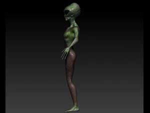 gray alien female 3D Model