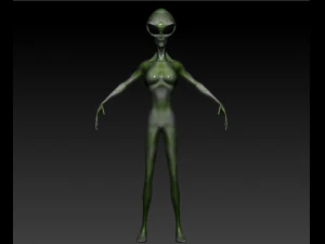gray alien female 3D Model