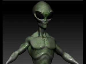 gray alien male 3D Model