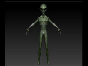 gray alien male 3D Model