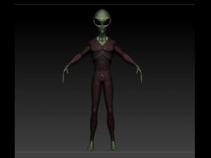 gray alien male 3D 模型