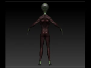 gray alien male 3D Model