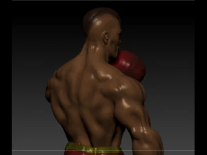 kickboxing 3D Model
