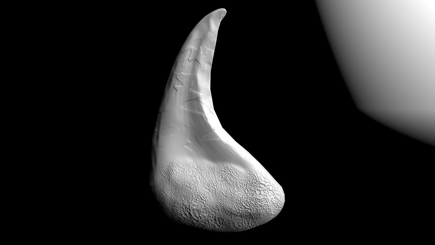 tooth 3D Model .c4d .max .obj .3ds .fbx .stl .blend 