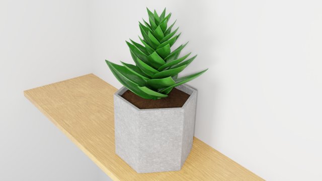 succulent plant 3Dモデル .c4d .max .obj .3ds .fbx .stl .blend 