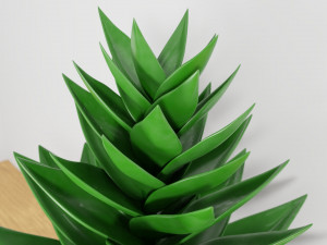 succulent plant 3Dモデル