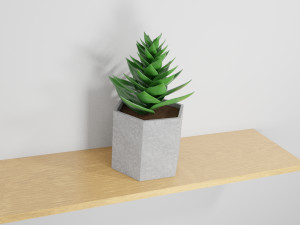 succulent plant 3Dモデル