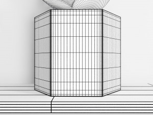 succulent plant 3Dモデル