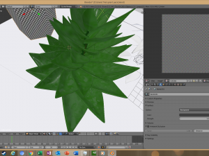 succulent plant 3Dモデル