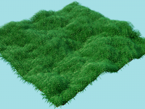 grass field 3D Model