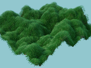 grass field 3D Model