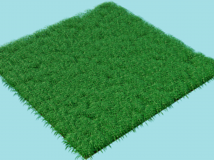 grass field 3D Model