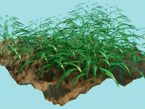 grass field 3D Model
